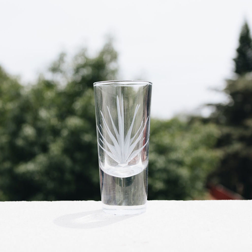 Juego 6 tequileros agave