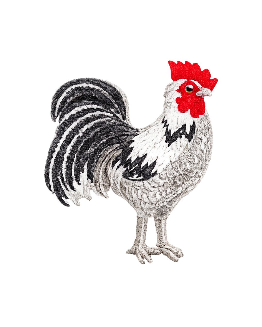 Bordado de Gallo l Gris y Negro