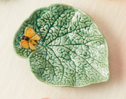 Hoja Begonia con Mariposa
