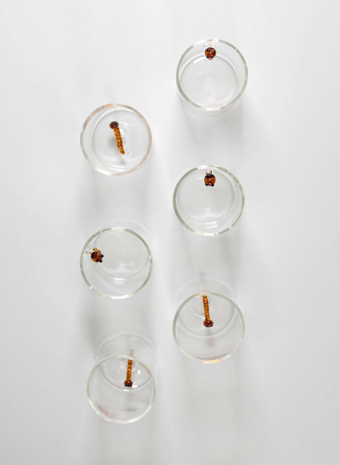 Set de 6 vasos Tequileros de cristal con detalle de Gusano