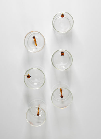 Set de 6 vasos Tequileros de cristal con detalle de Gusano