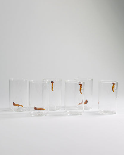 Set de 6 vasos Tequileros de cristal con detalle de Gusano